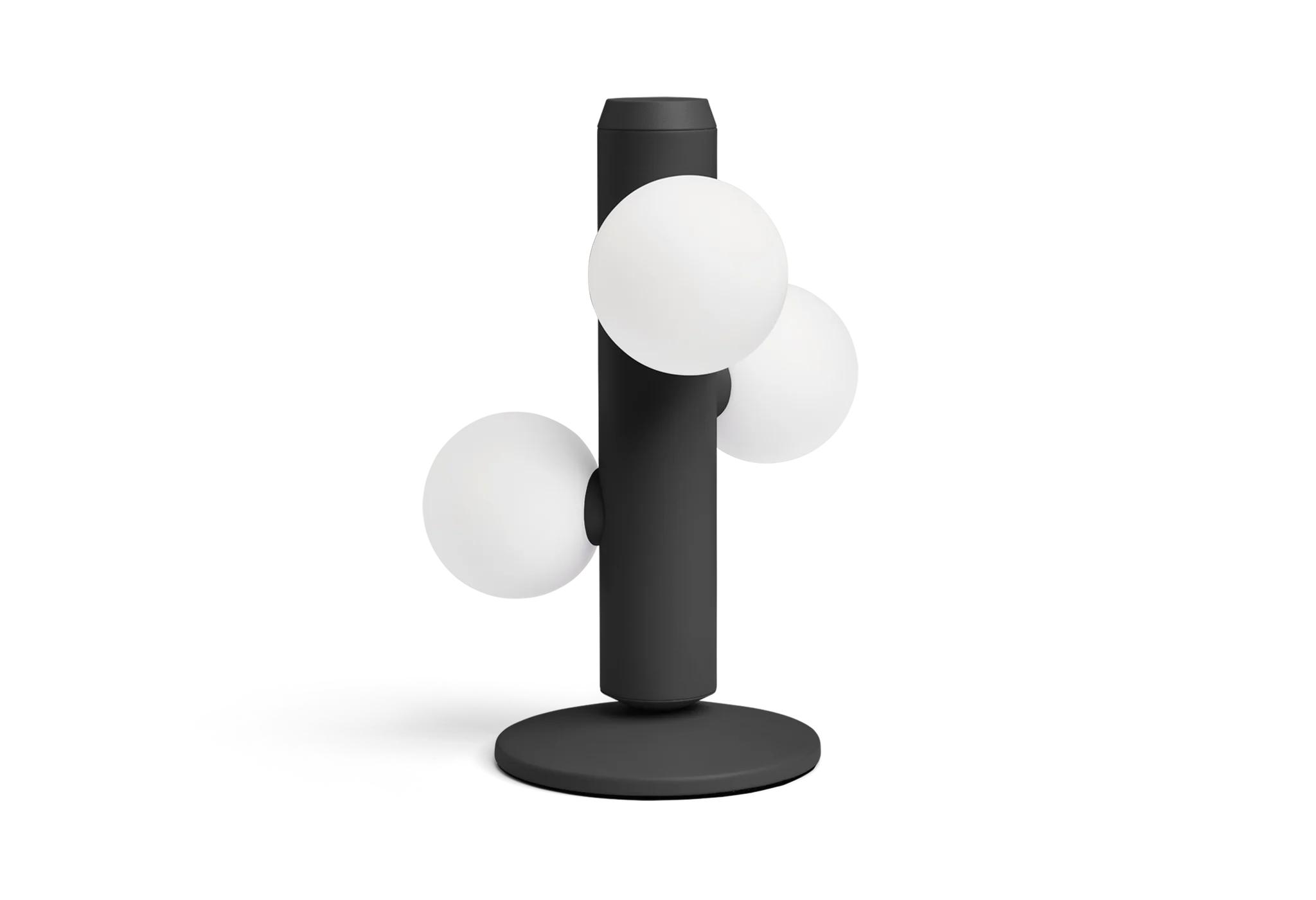 Miniatuur 3