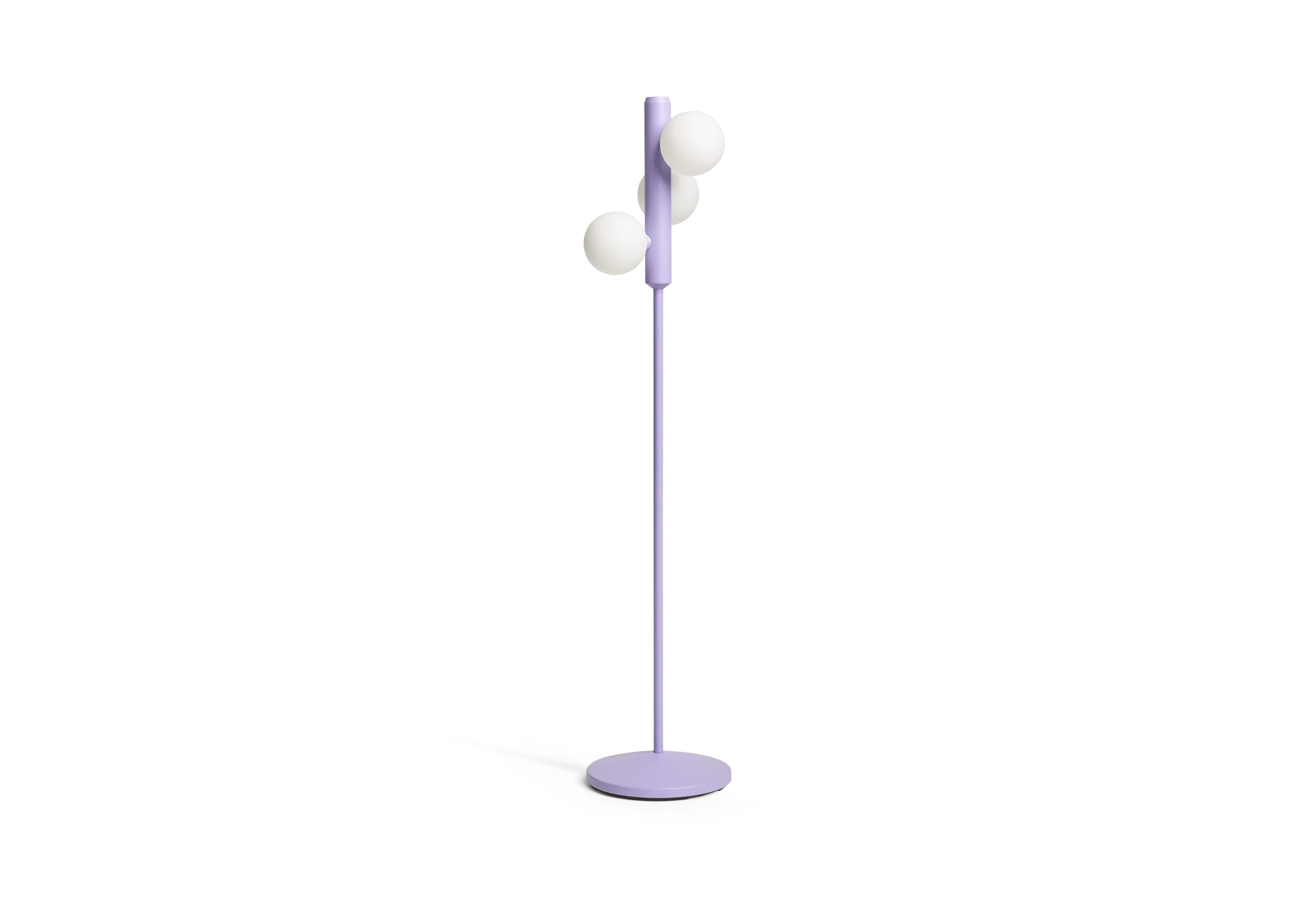 Miniatuur 3